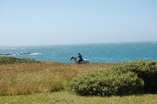 The Sea Ranch White Horse