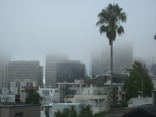 foggy San Francisco